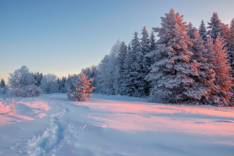 зима утро мороз Свет морозного утра фото превью
