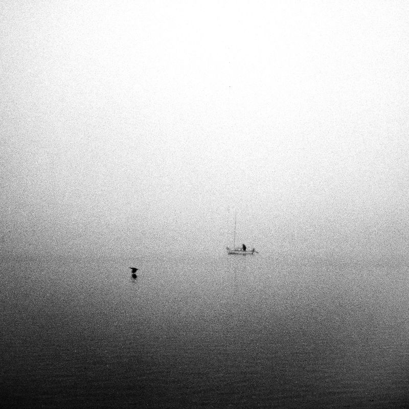 boat, bird, fog, sea,  Boat and bird фото превью