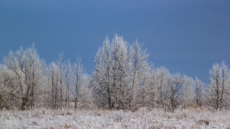 Морозное утро фото превью