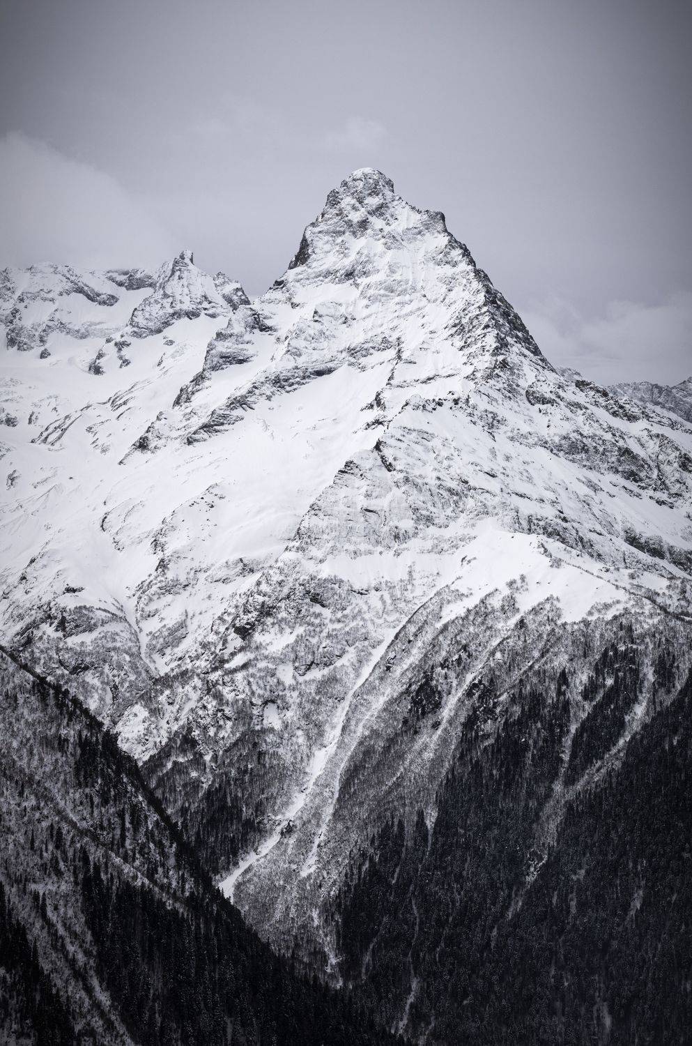 , Антон Литвин