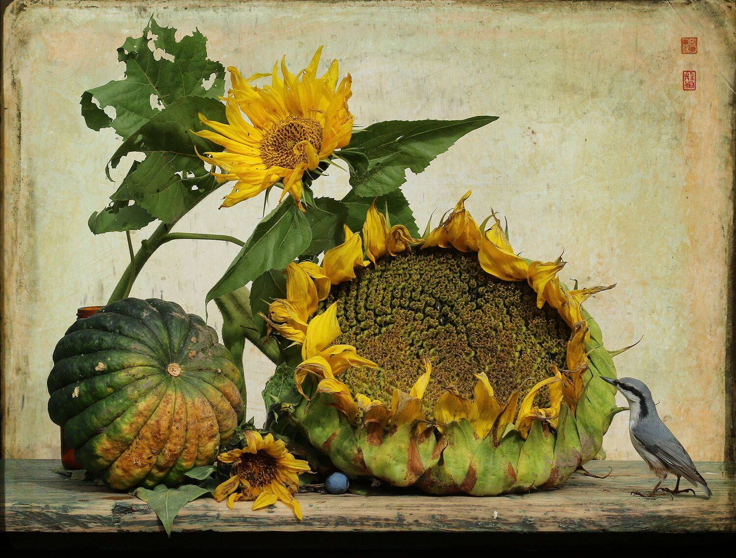 nuthatch, Хромушин Олег