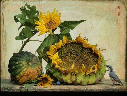 Натюрморт с большим и малым подсолнухом