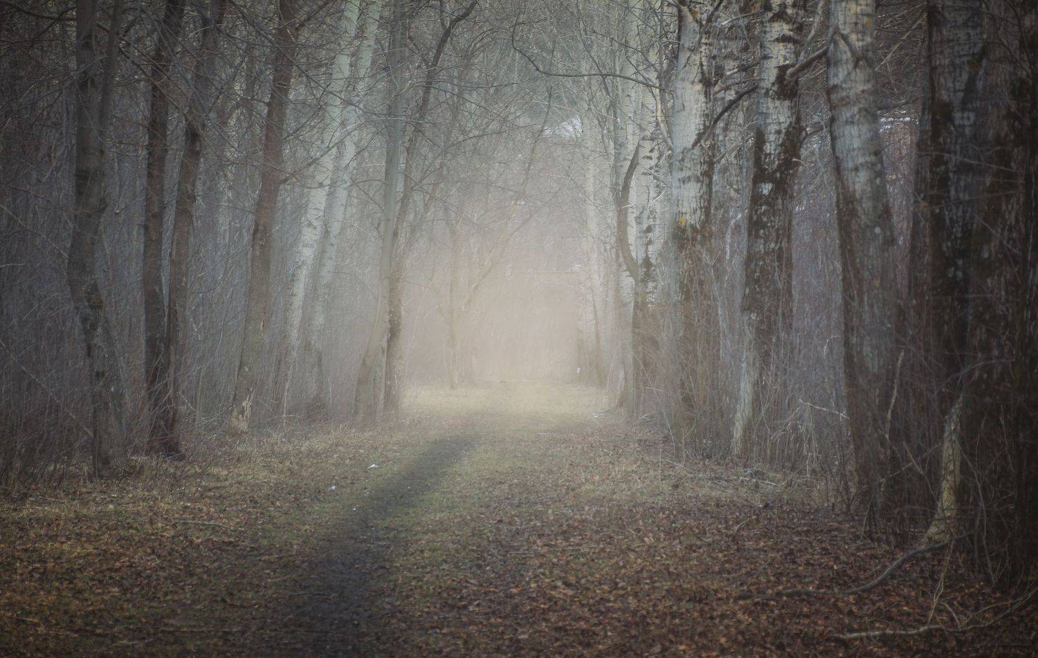 , Котов Андрей