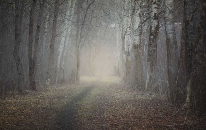 Сонная аллея фото превью