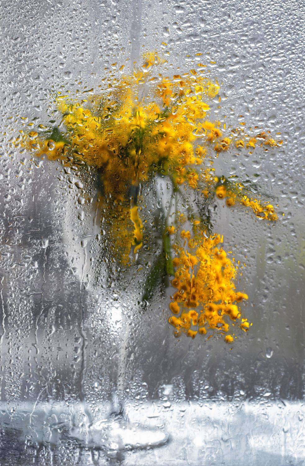 , Мария Обидина