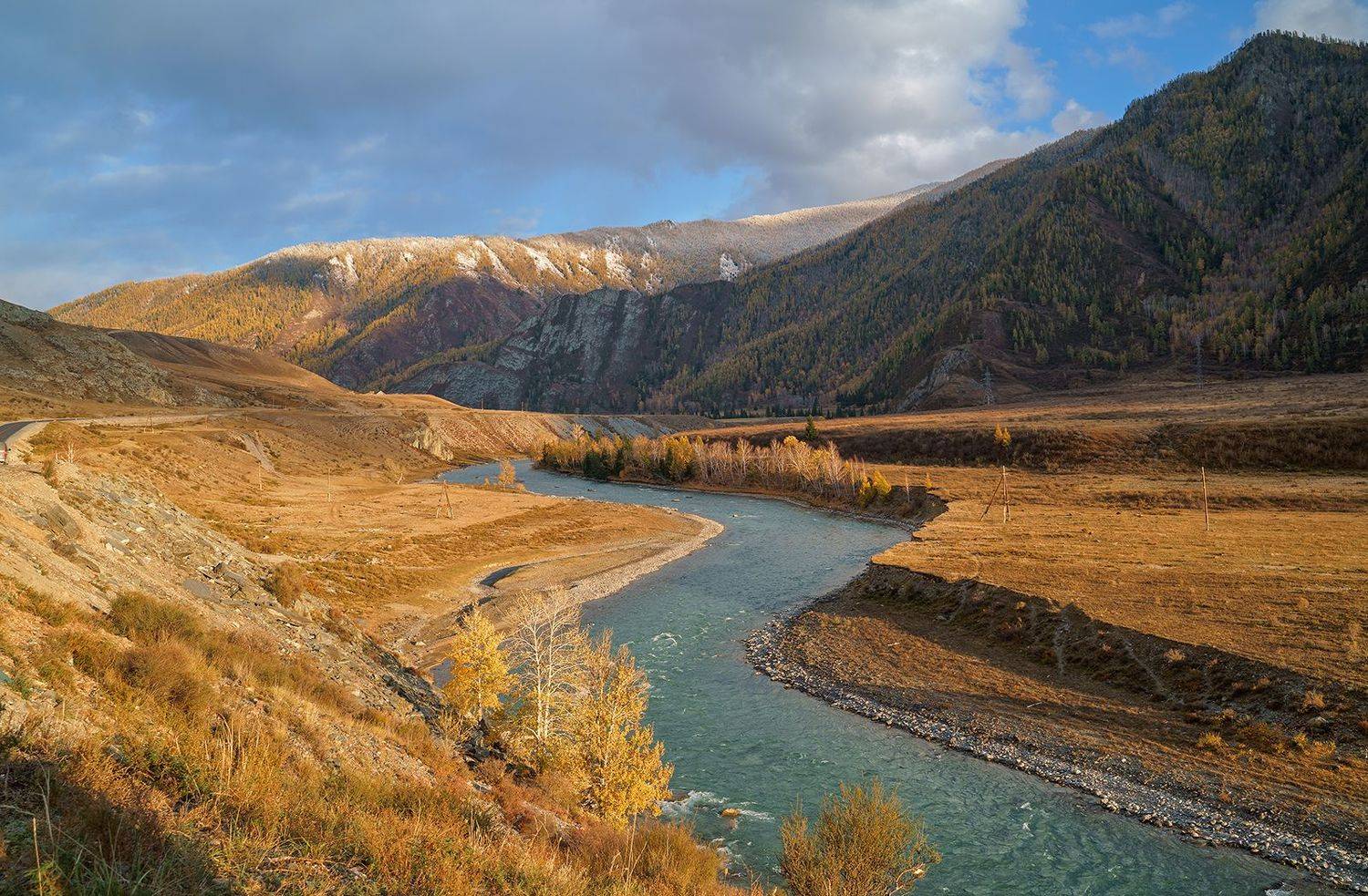 , Лариса Николаевна Дука