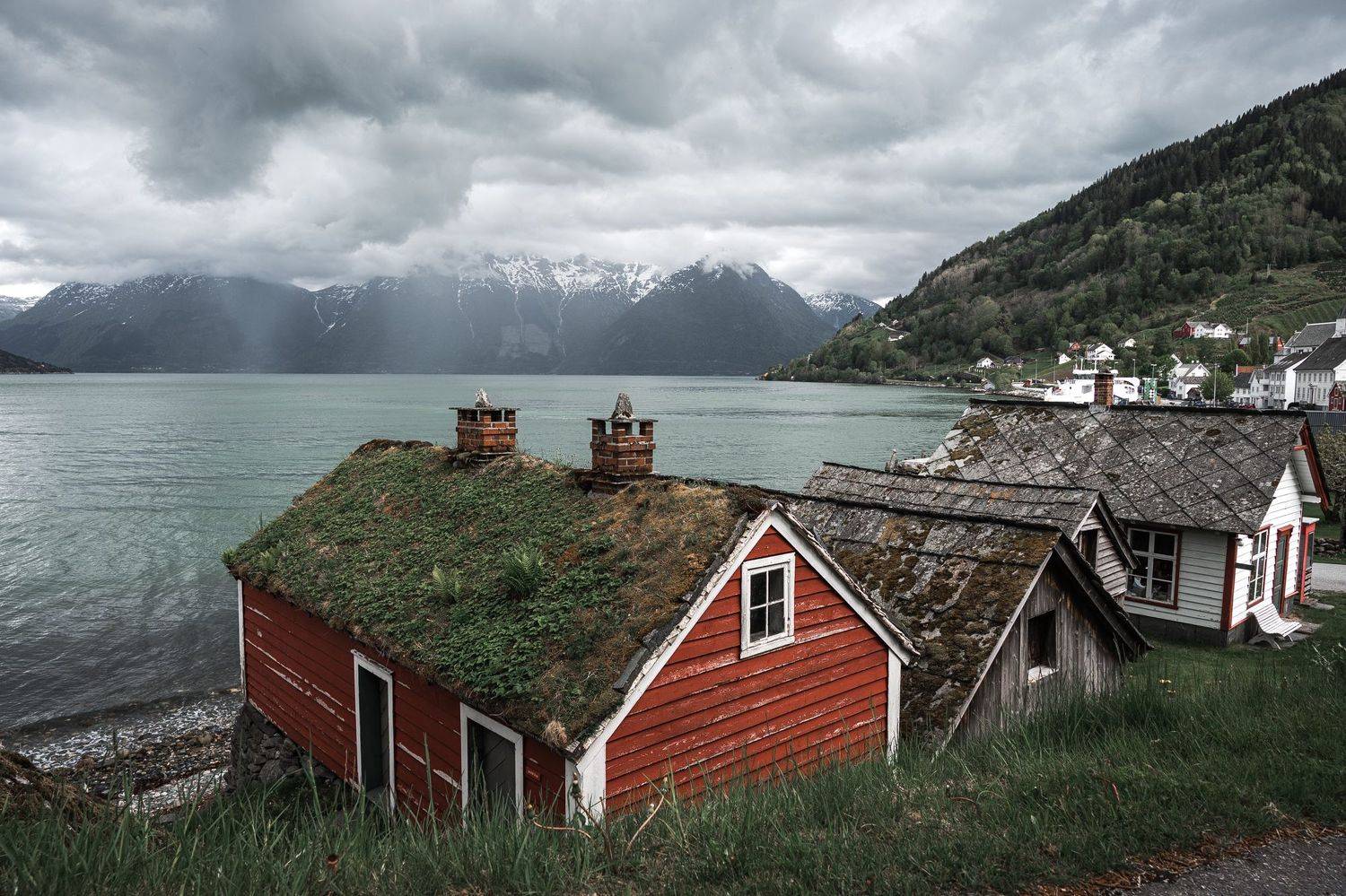 Музей , Ольга Кудина