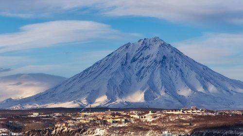 Серый Кардинал