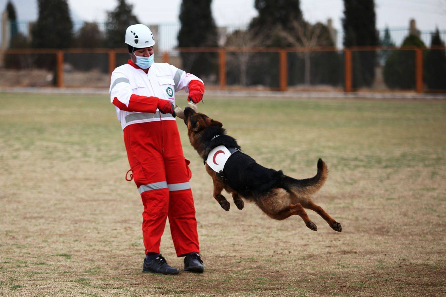 , mehdi karimi souderjani
