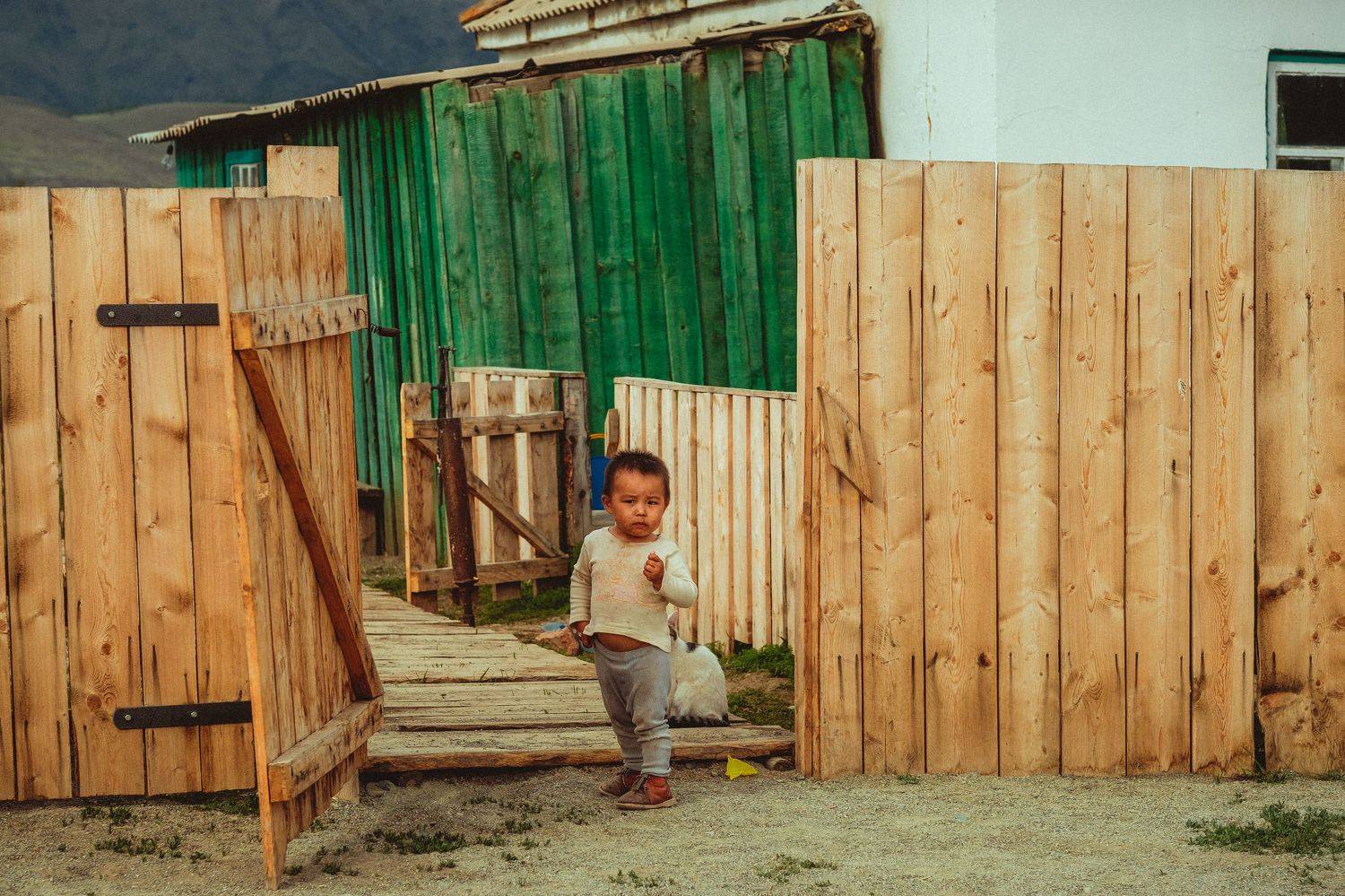 , Виктор Гагарин