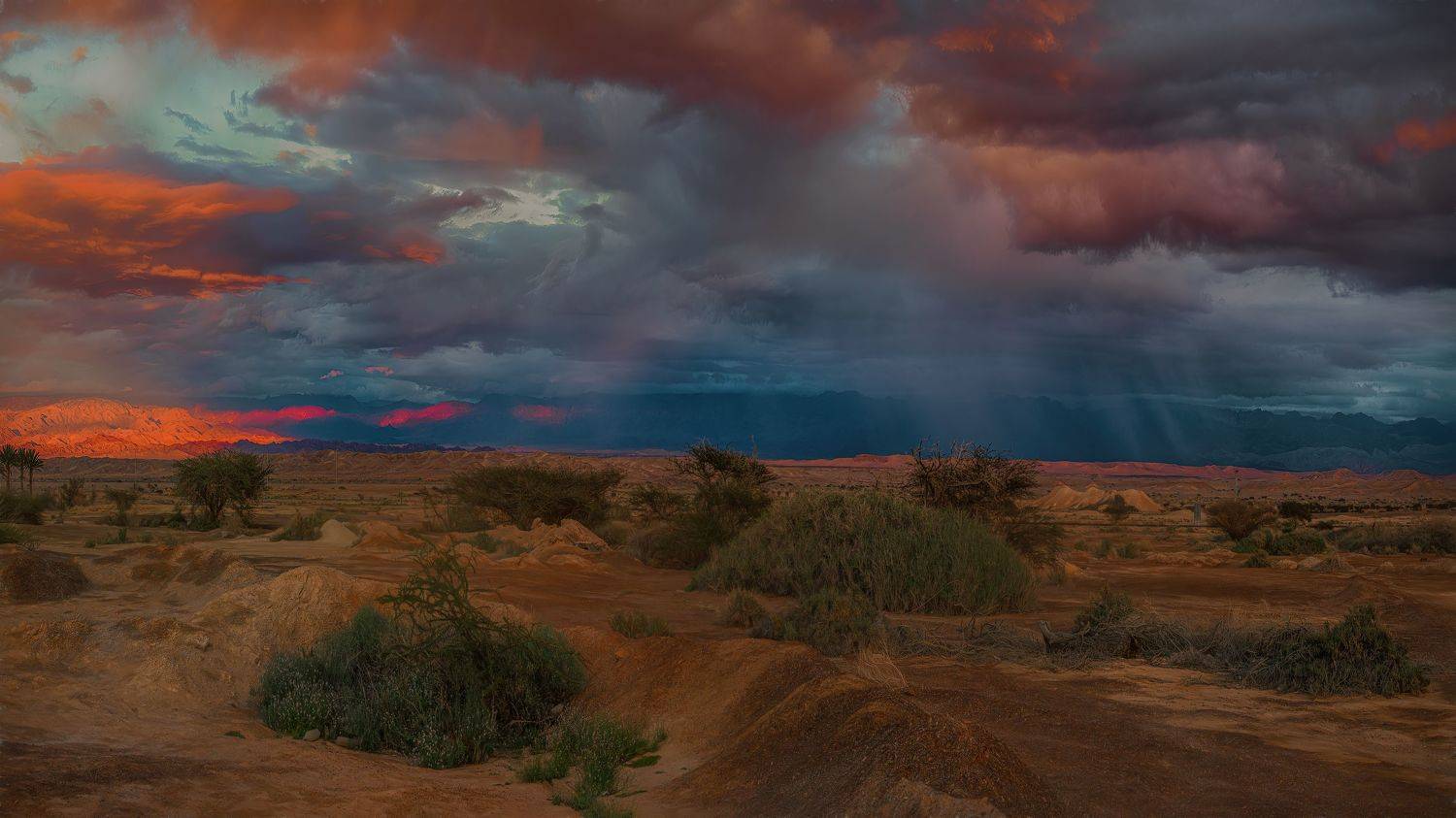 , Шварцман Евгений