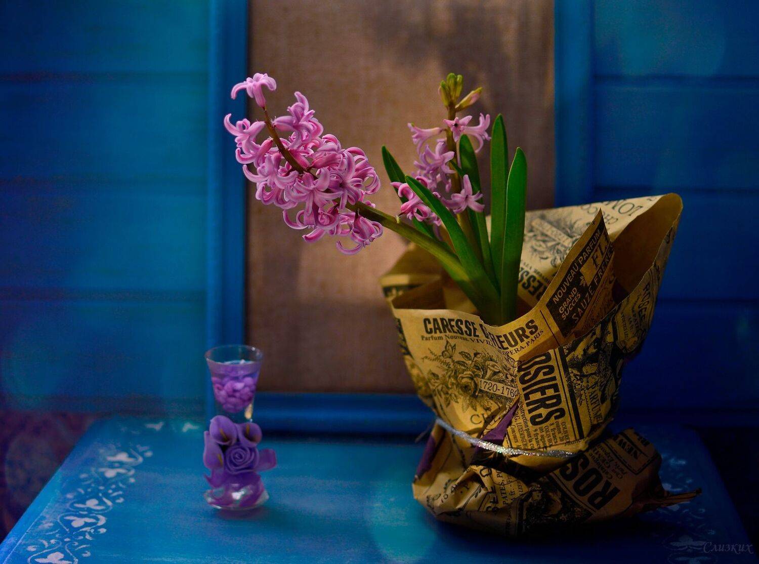 гиацинт,цвет,свет, Инаида