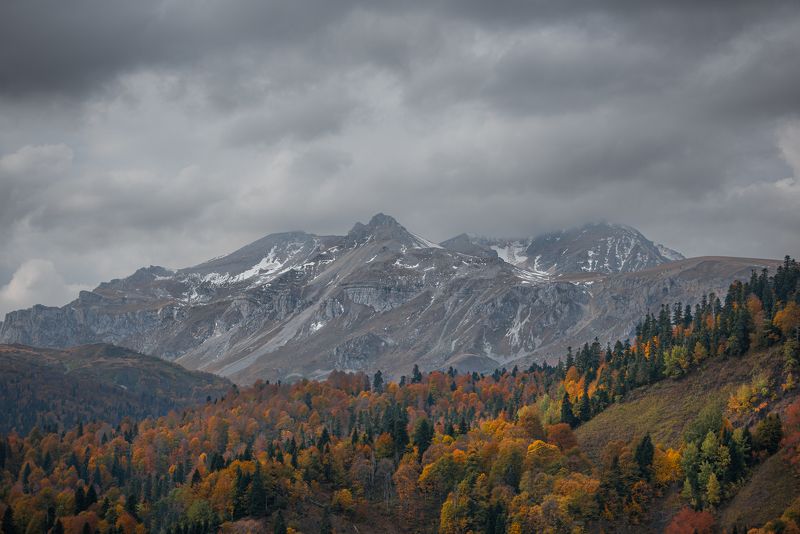 горы, лес, осень, облака, небо, тучи, вершины, хребет  фото превью