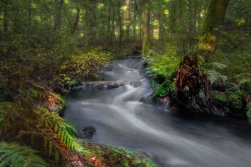 Ручей Быстрый в Зеленогорске фото превью