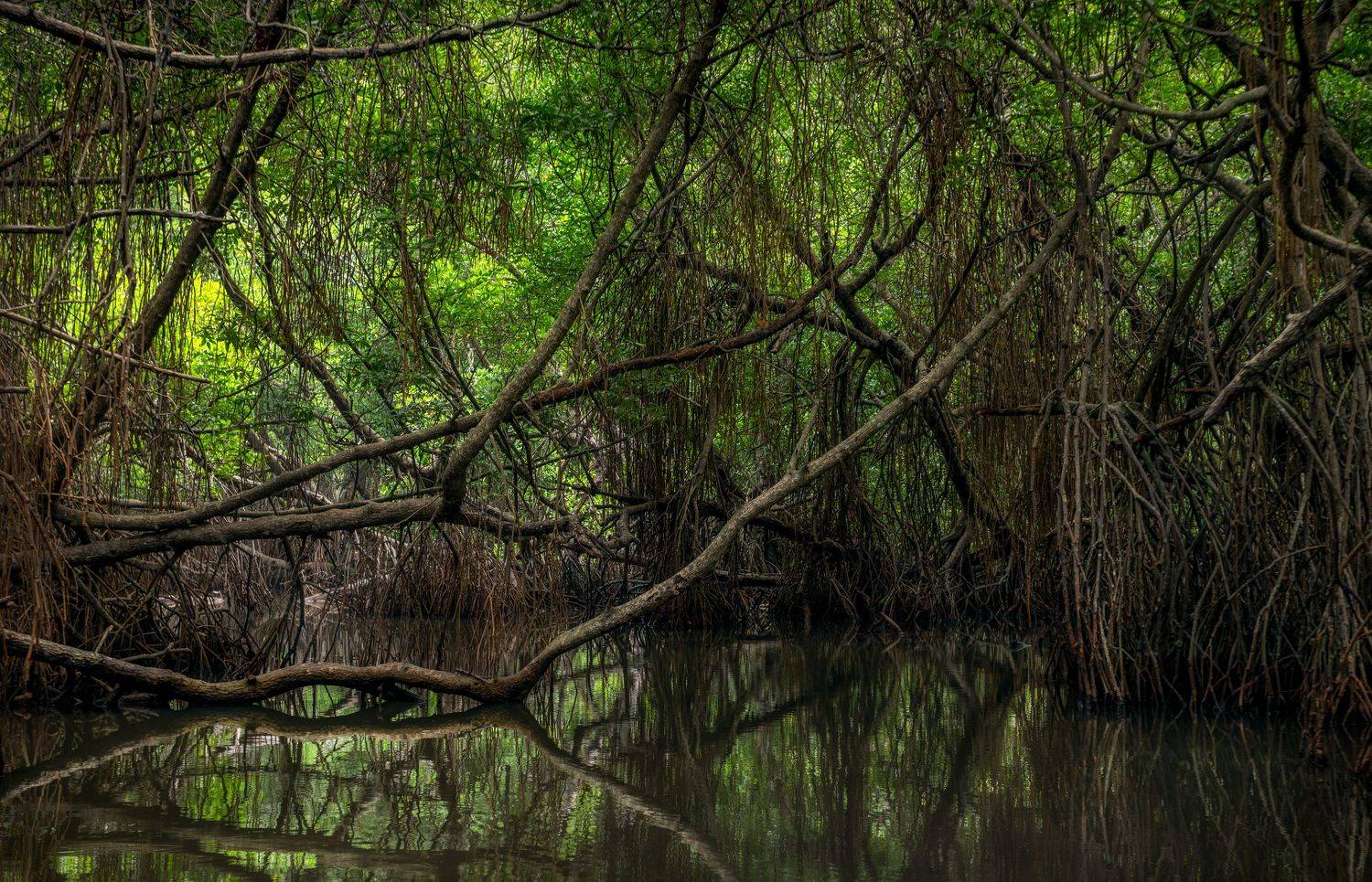 , Безмолитвенный Александр