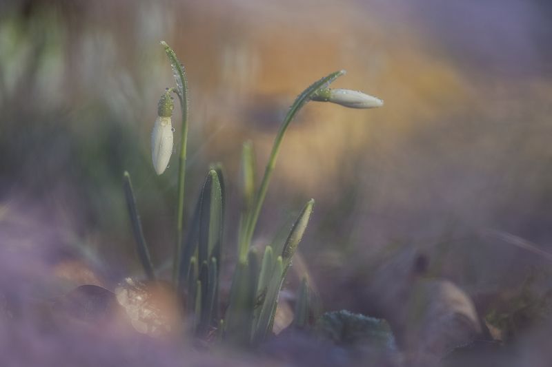 С праздником!! фото превью