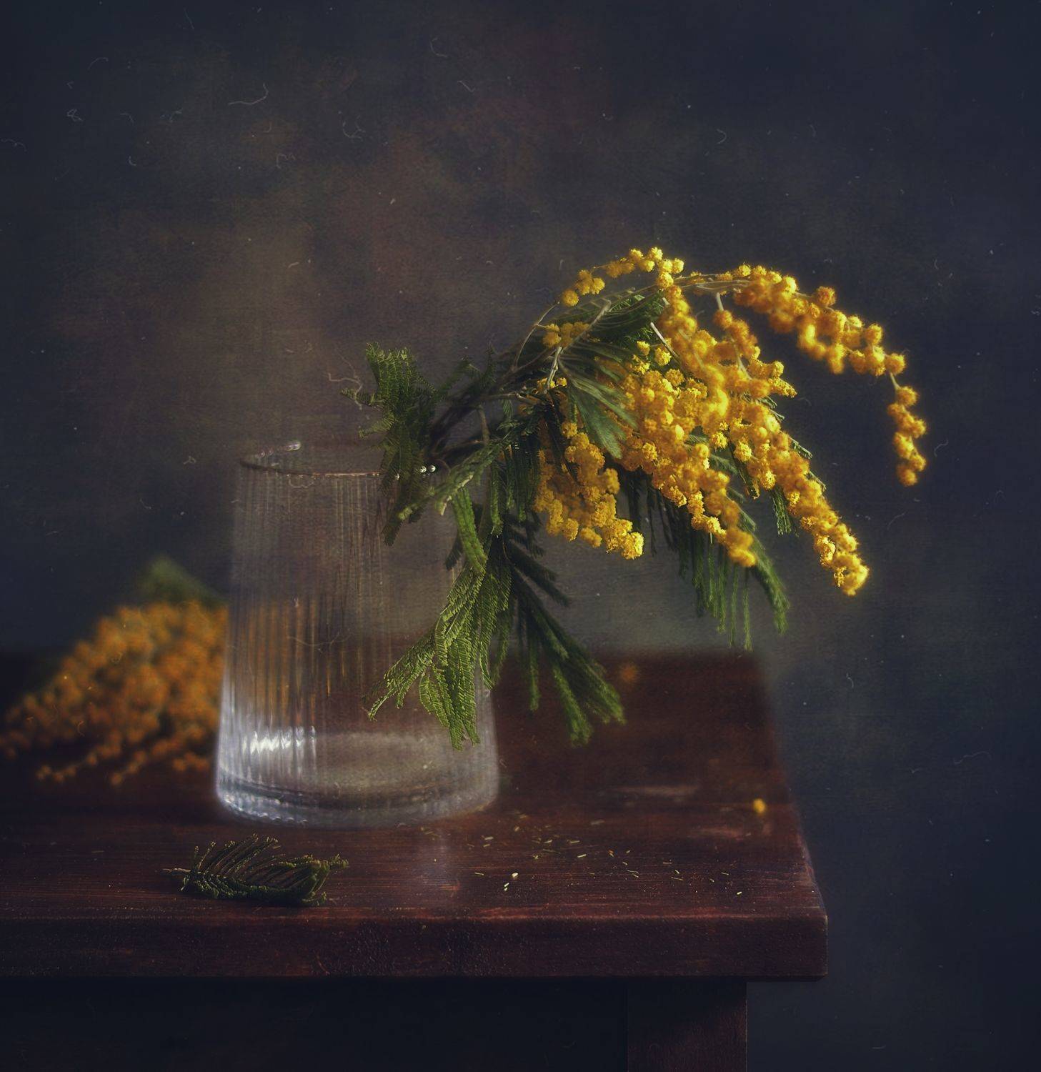 натюрморт,весна,цветы,мимоза, Наталия К