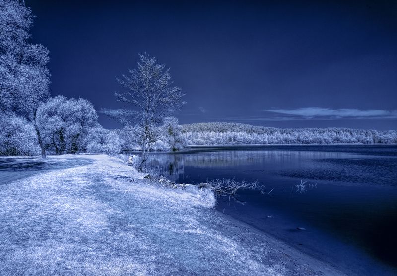 В ожидании золотой рыбки фото превью