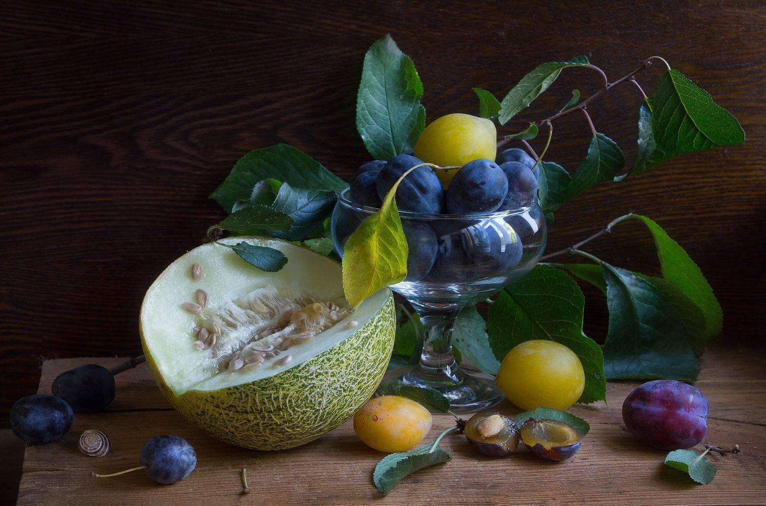 , Колеснева Елена