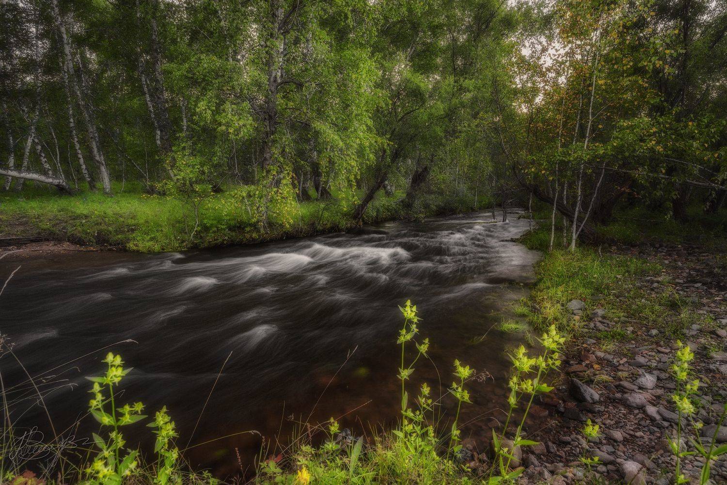 , Владимир Климов