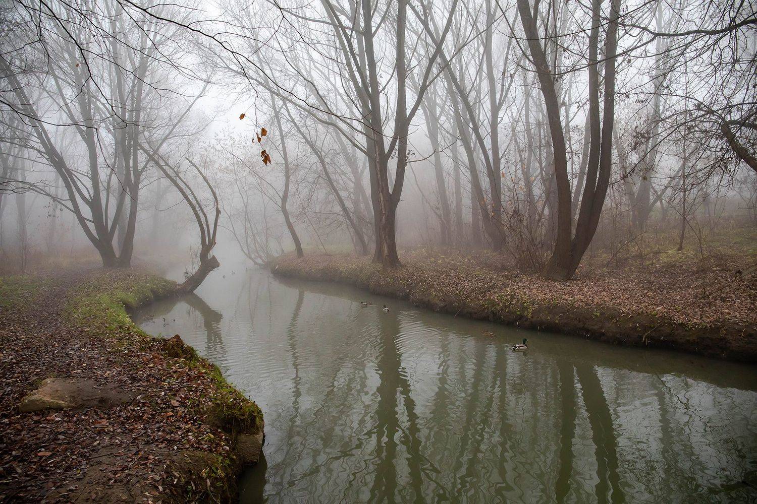 , Виктор Волынский