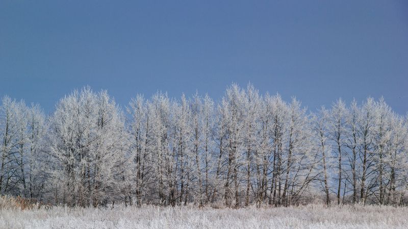 Морозное утро фото превью