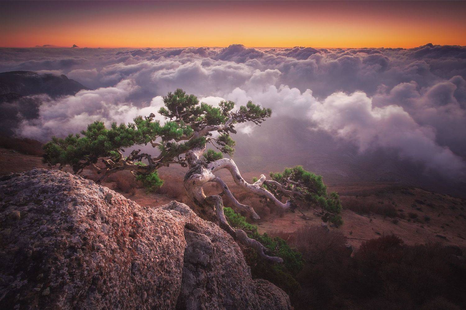 , Костенко Александр