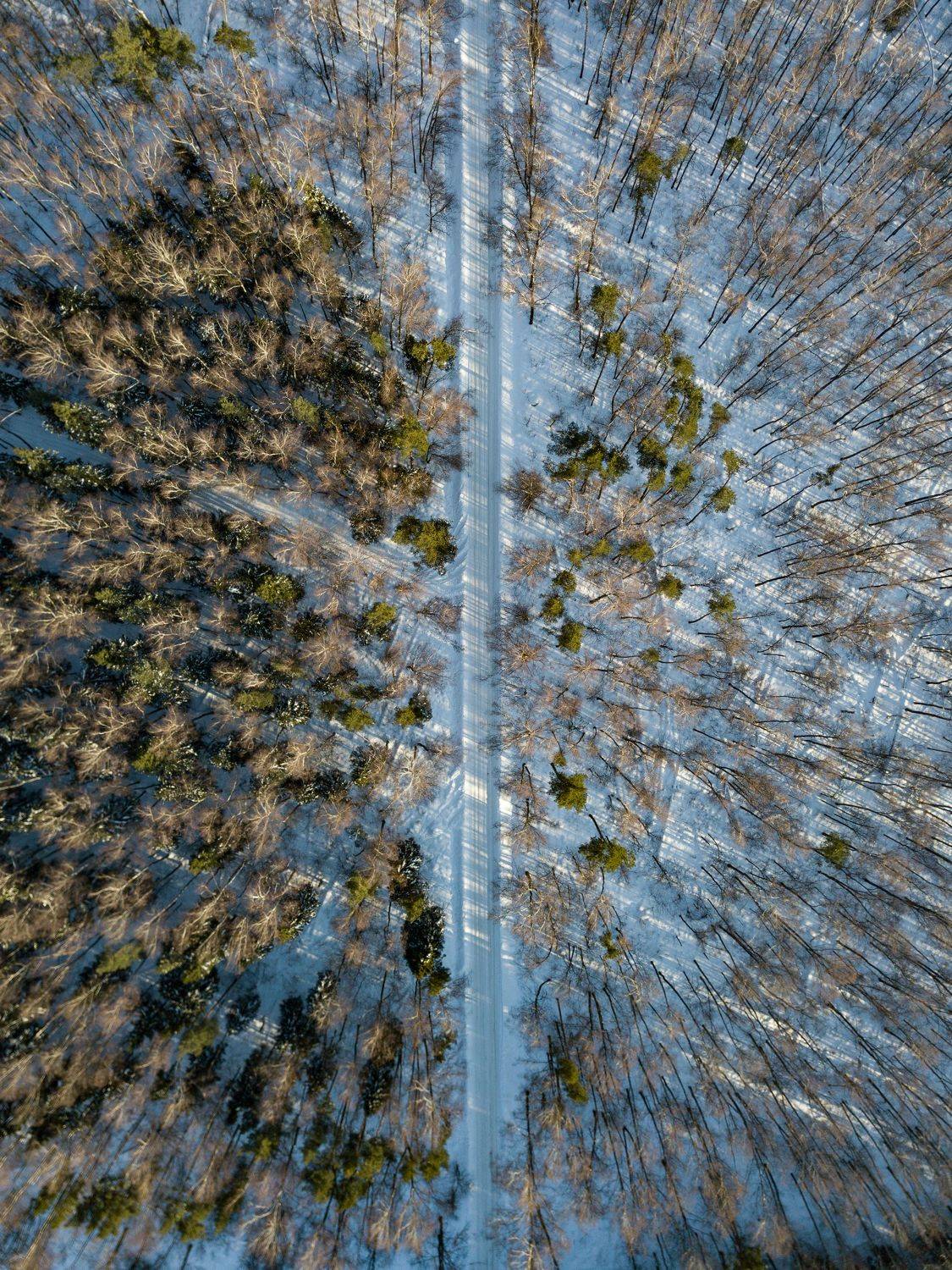 , Перевозчиков Андрей