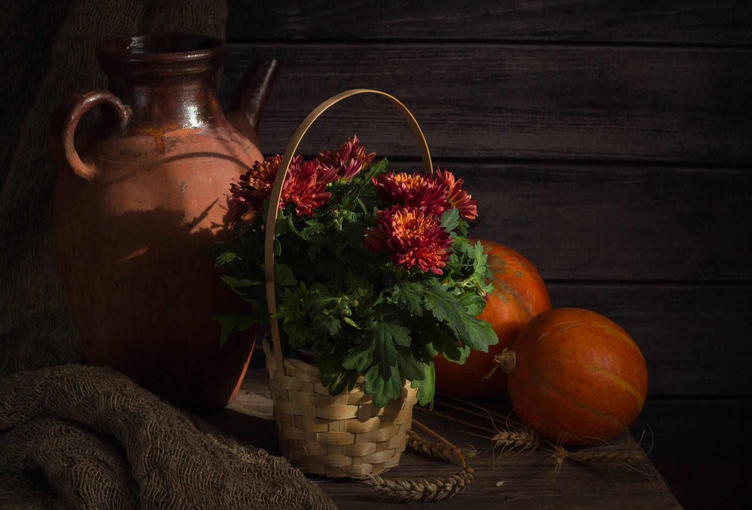 , Хвойнова Елена