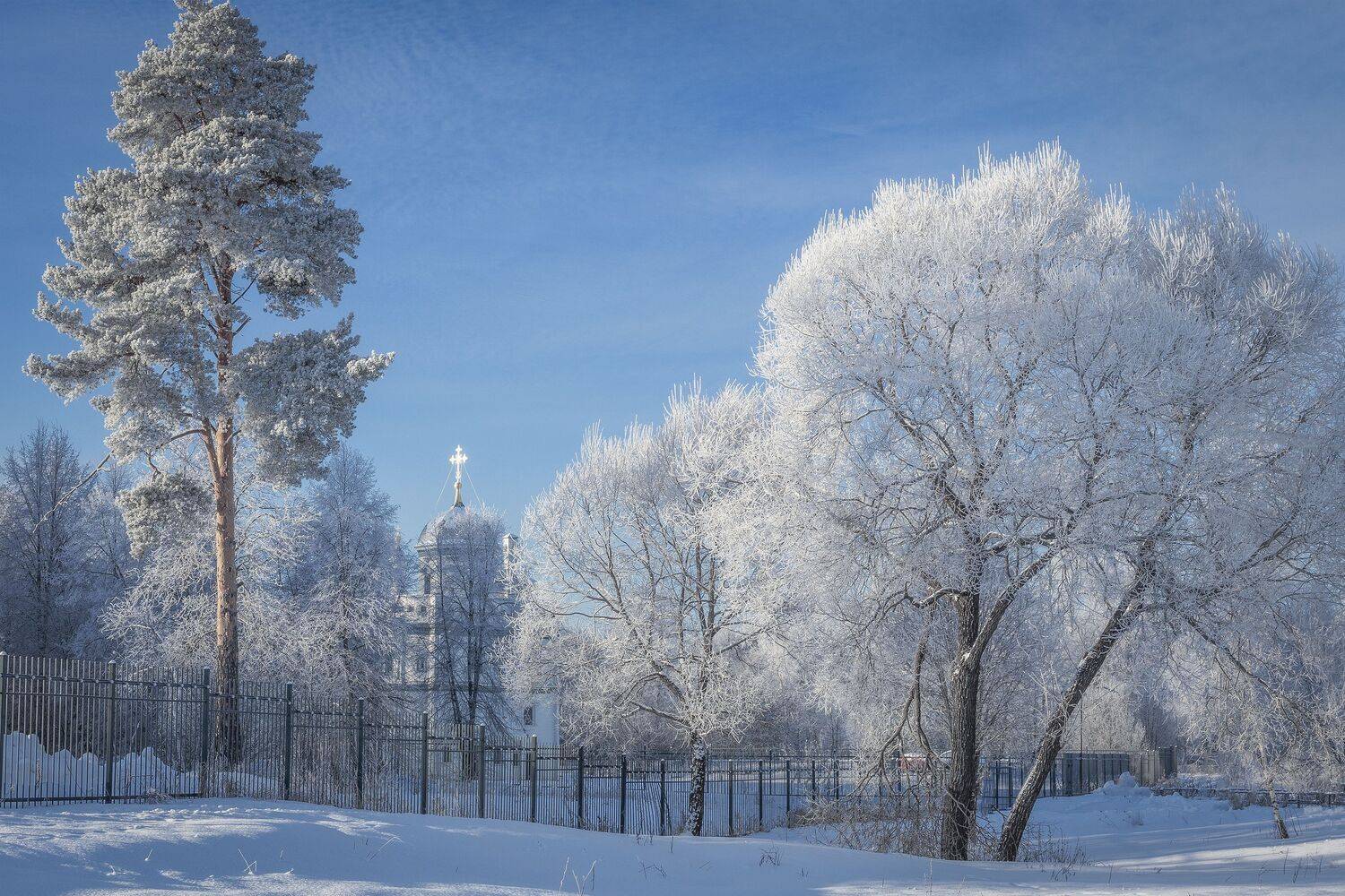 истра, Елена Гусева