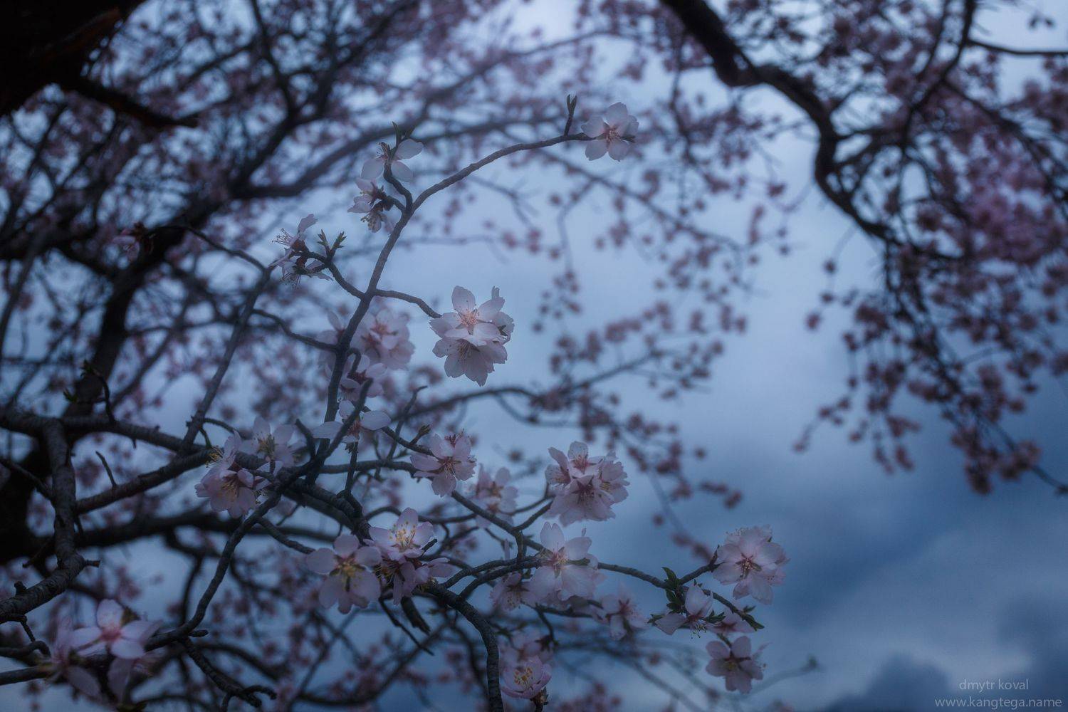 дмитр коваль, гималаи и крым вне треков, пейзаж как магия, Коваль Дмитр