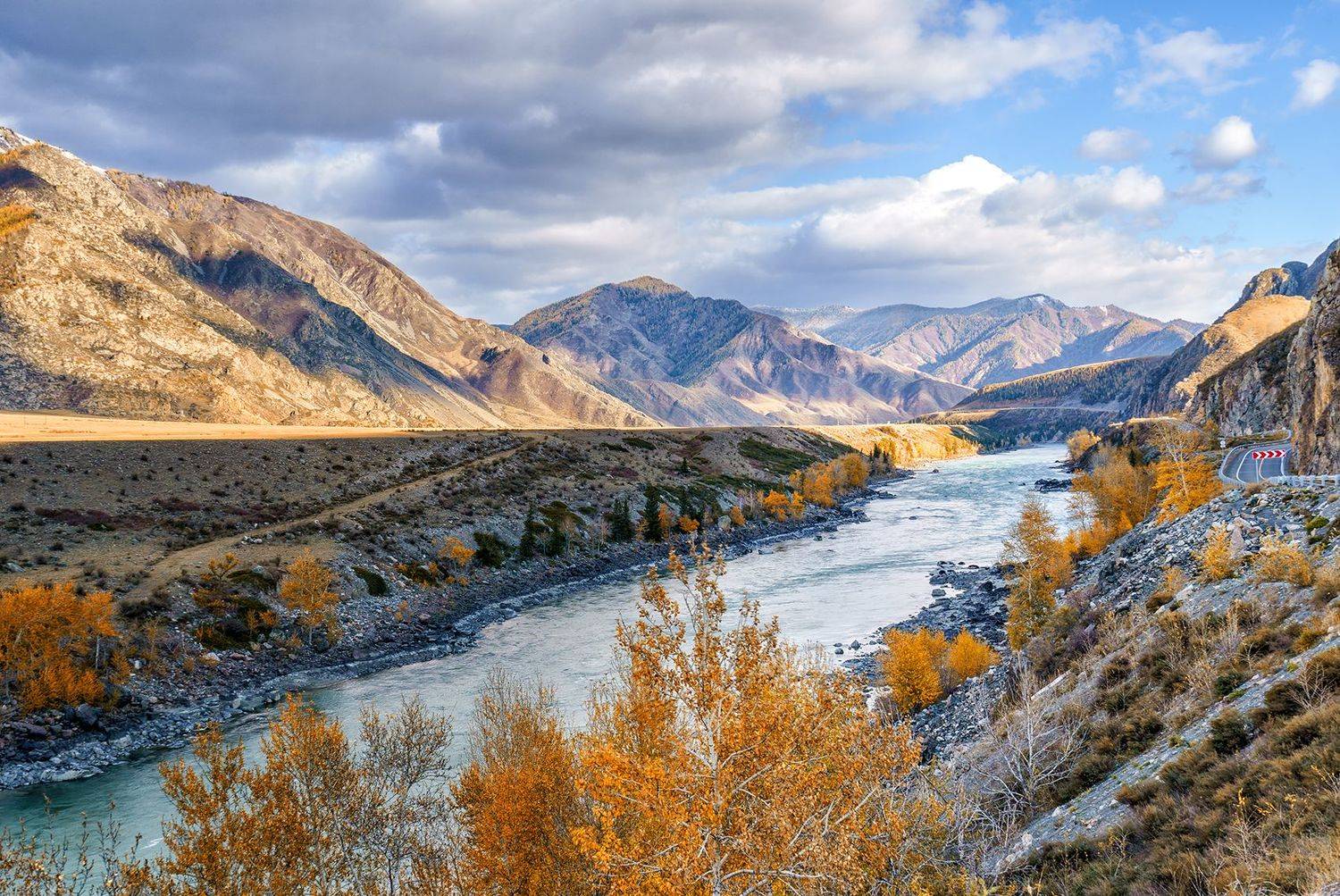 , Лариса Николаевна Дука