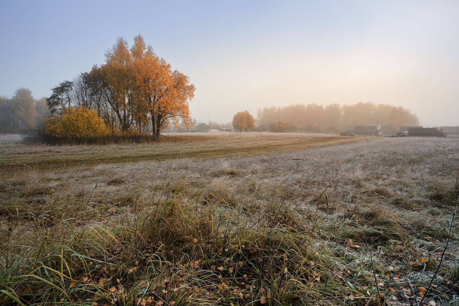 , Зеленько Дмитрий