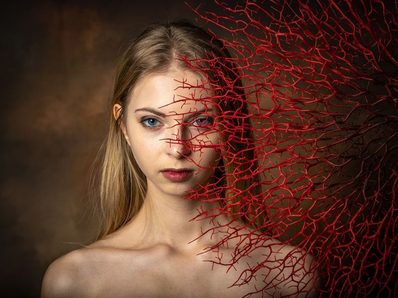 паутина Андрамеда фото превью