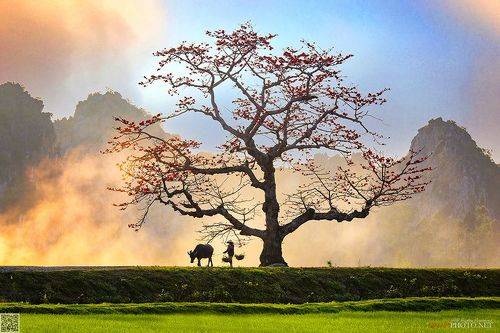 Peaceful Hometown