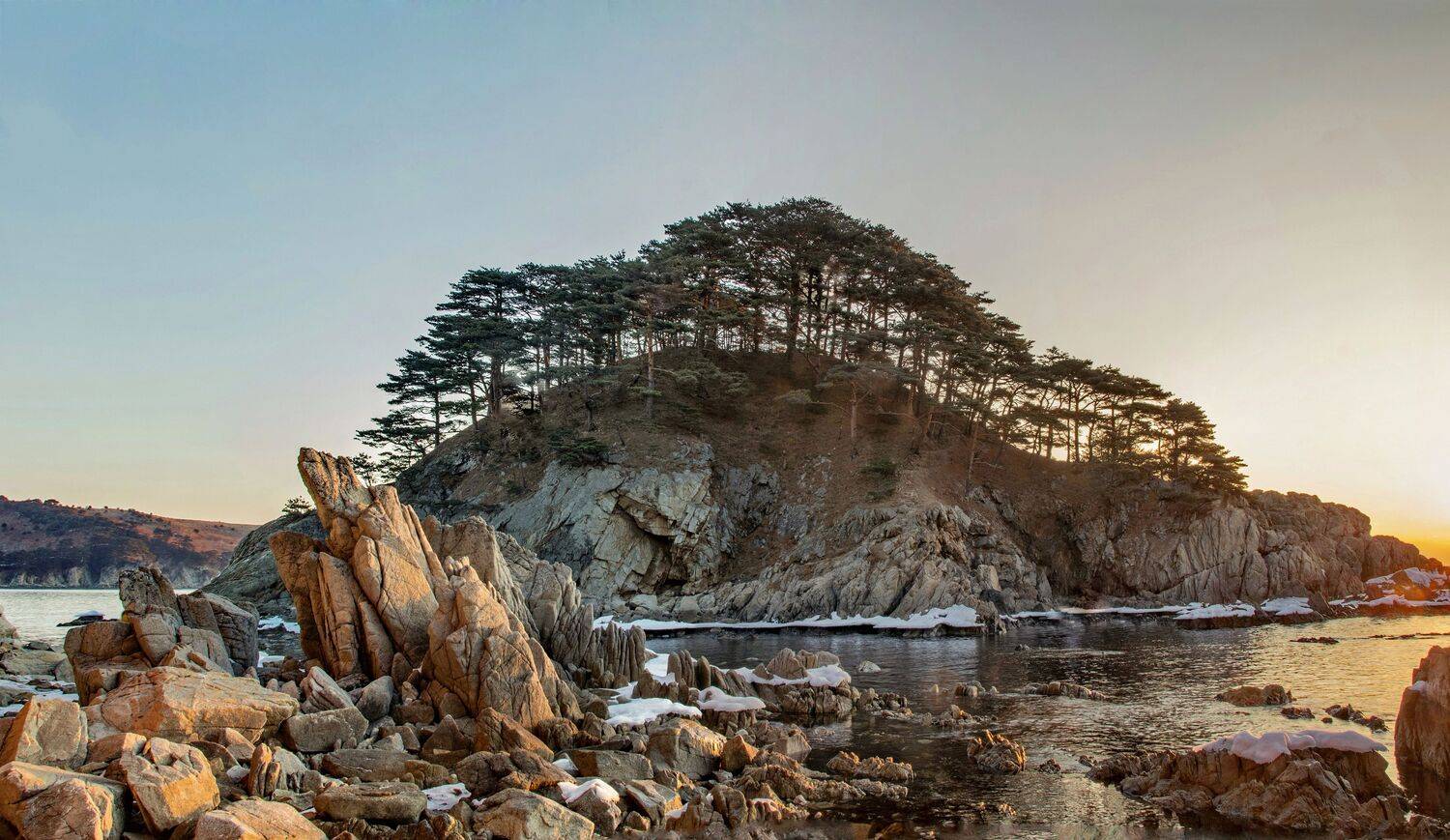 , Добролюбова Тамара