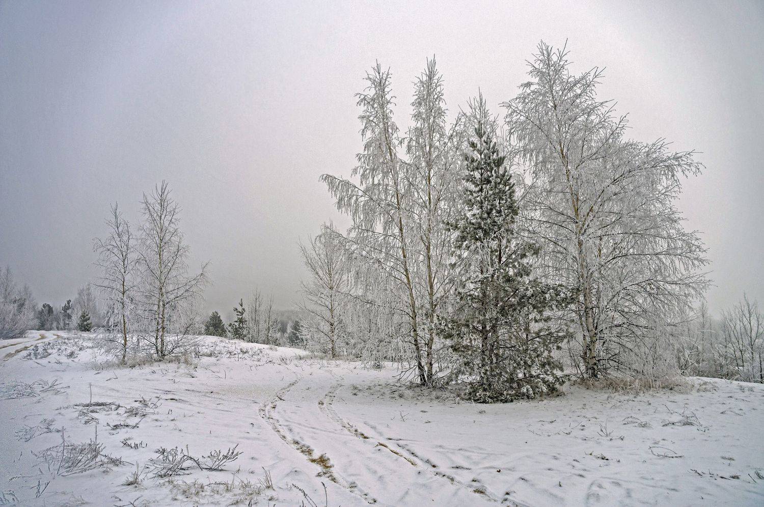 зима., Шитов Александр