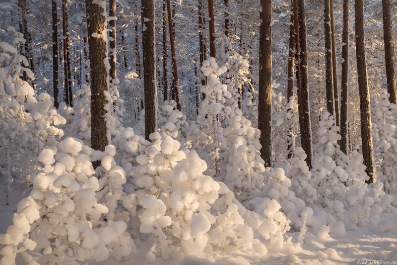 зимняя ладога, карелия, шхеры зимой, ладожское озеро, зимний пейзаж, мороз, зима, зимний пезаж, шхеры \
