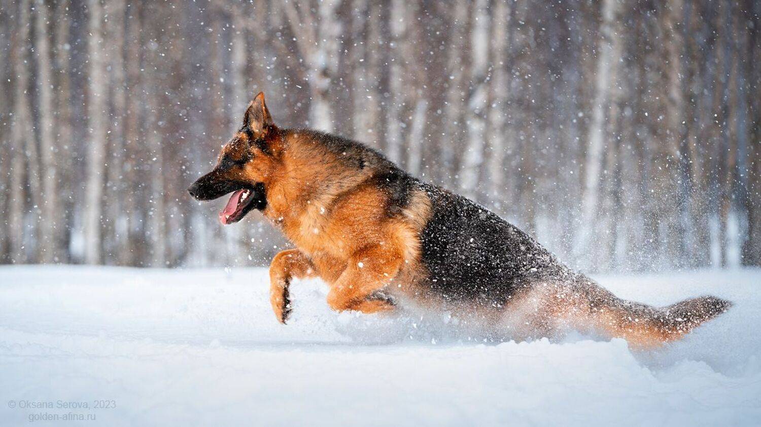 , Оксана Серова