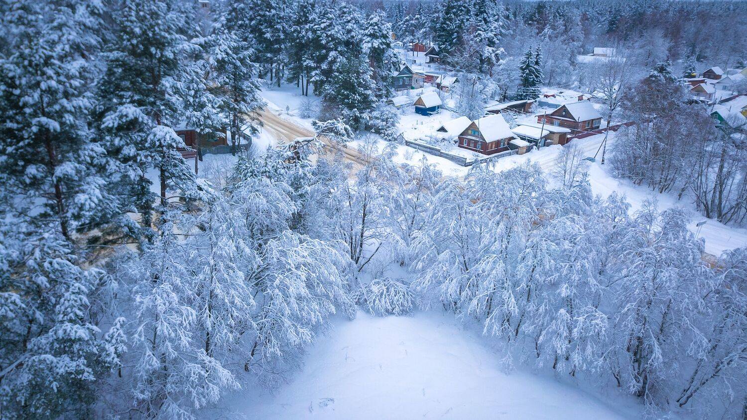 , Сергей Фаренюк