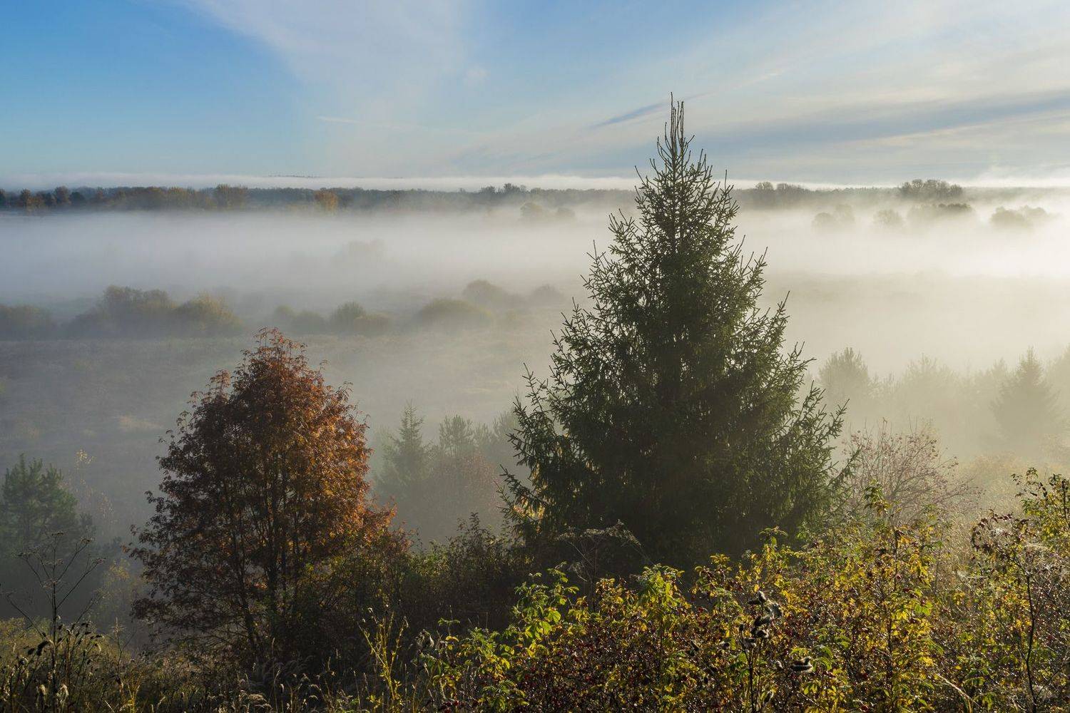, Галина Луценко