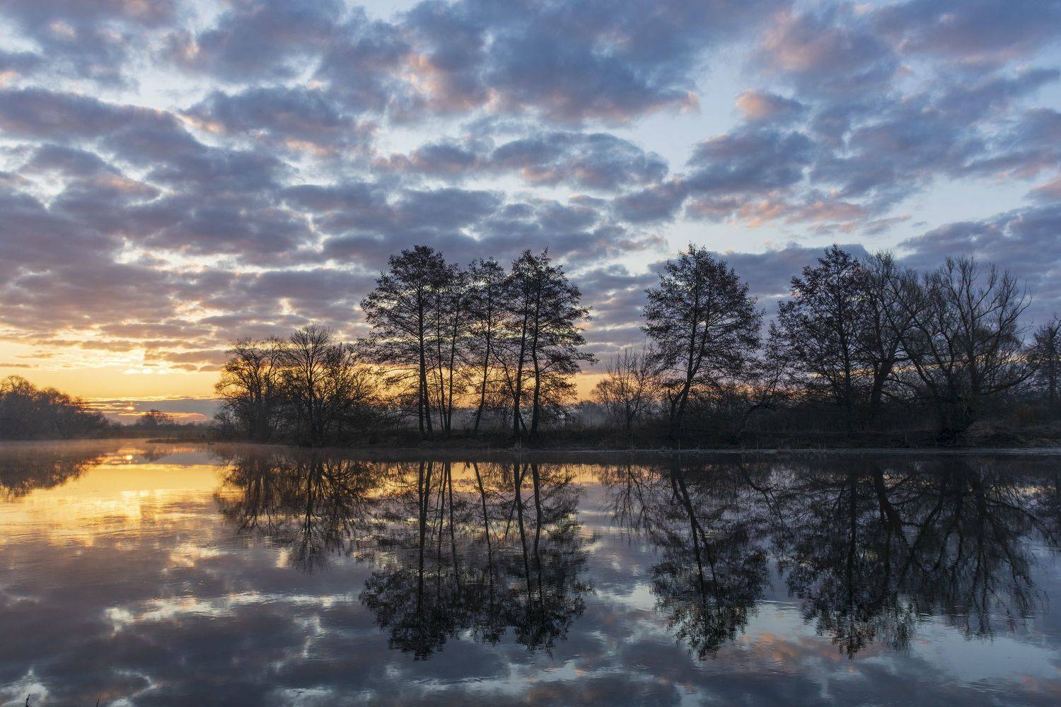 , Дмитрий Новоселов