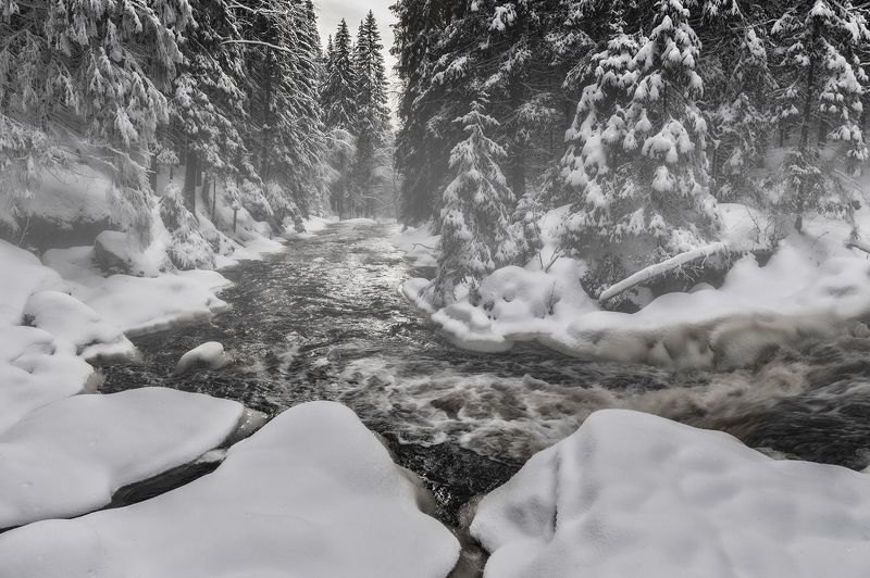 Иййоки фото превью