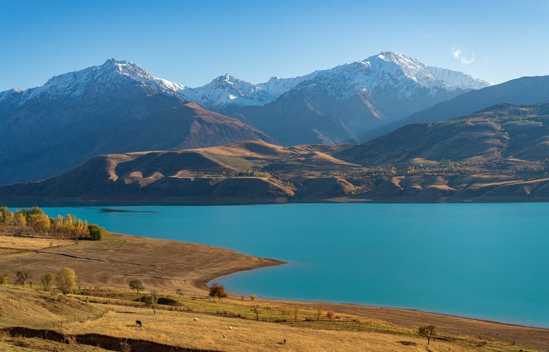 узбекистан, uzbekistan  фото превью