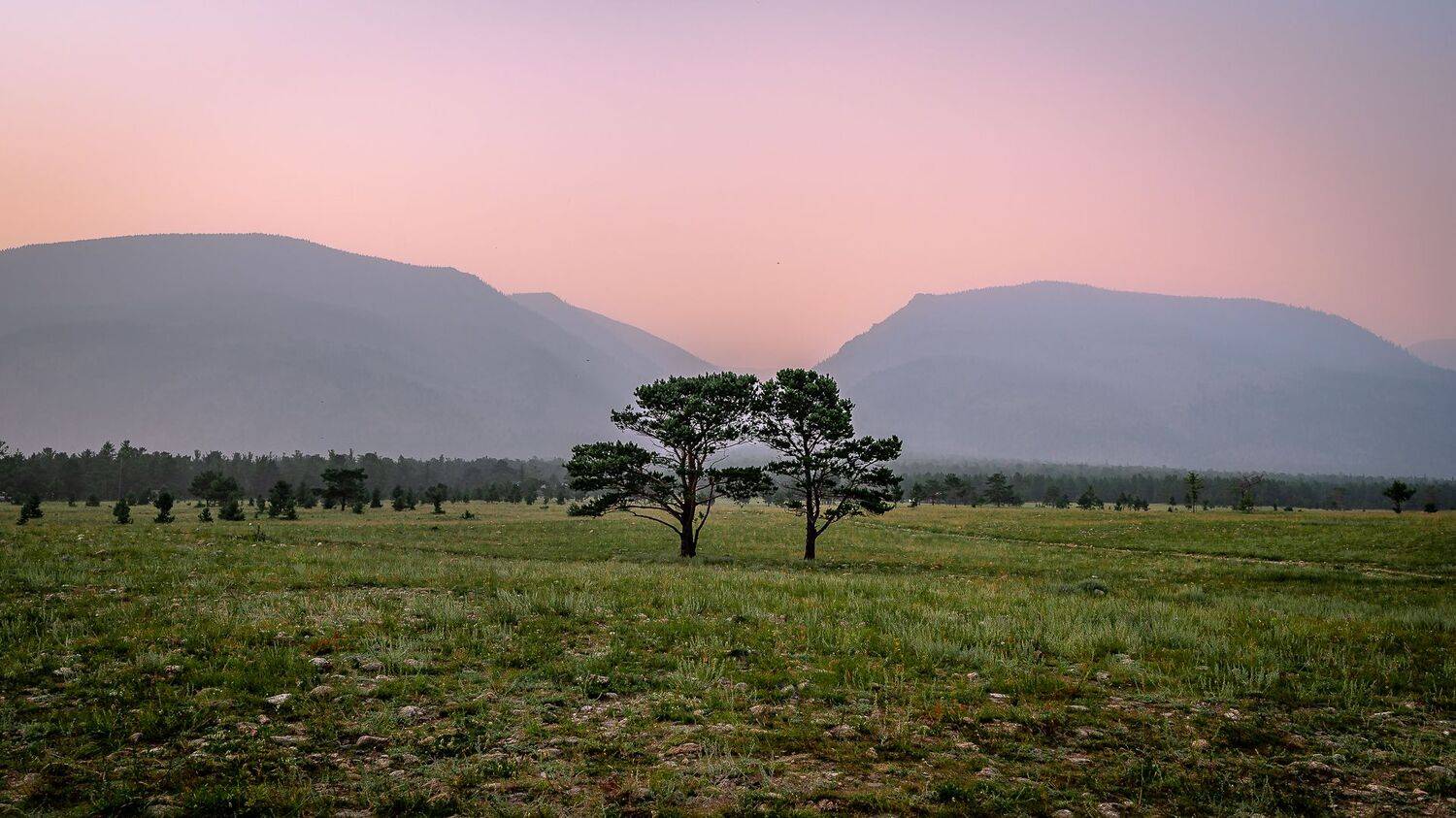 , Васильев Андрей