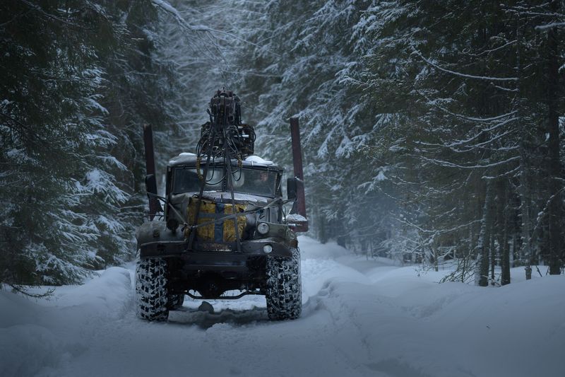 Попутчик фото превью