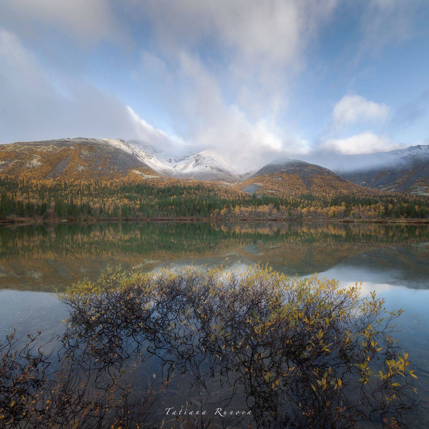 , Рунова Татьяна