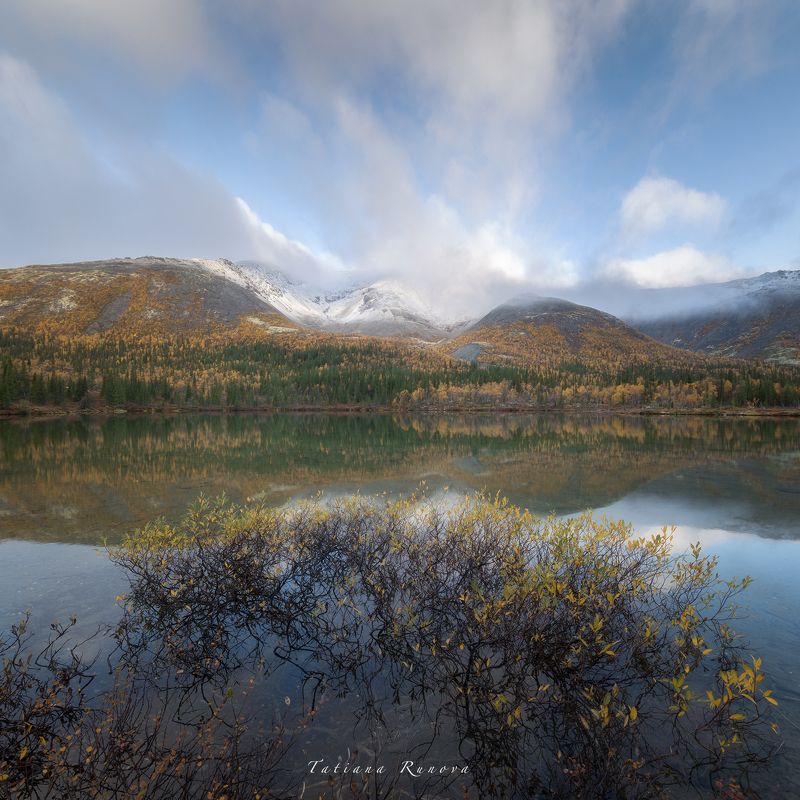 Нежное утро фото превью