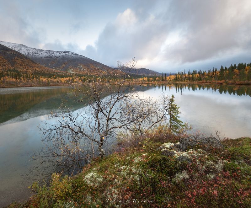 Нежное утро фото превью