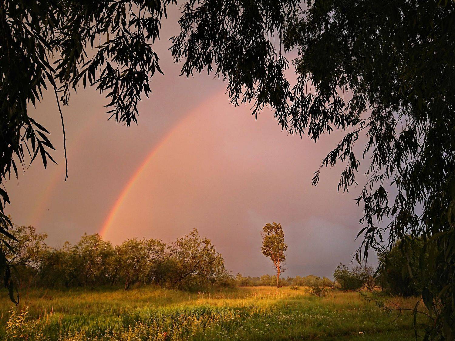 , Сергей Шляга